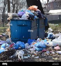 Best Commercial Junk Removal  in Westchase, FL